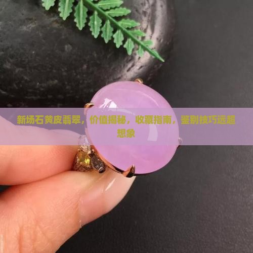 新场石黄皮翡翠