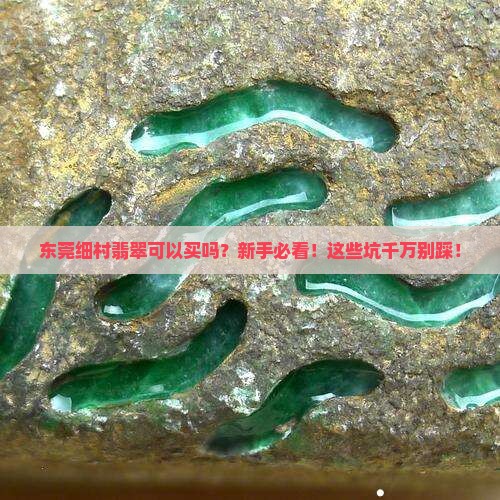 东莞细村翡翠可以买吗