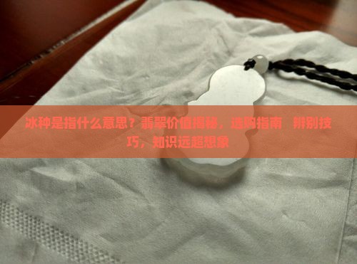 冰种是指什么意思