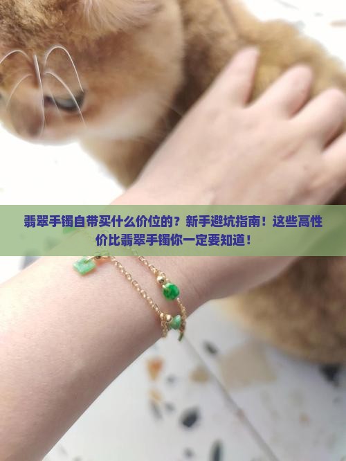 翡翠手镯自带买什么价位的