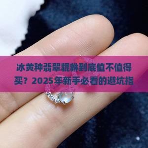 冰黄种翡翠貔貅