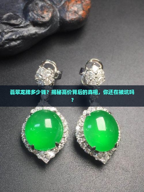翡翠龙牌多少钱