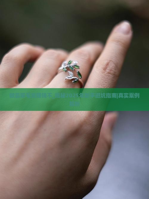 做翡翠毛货赚钱不
