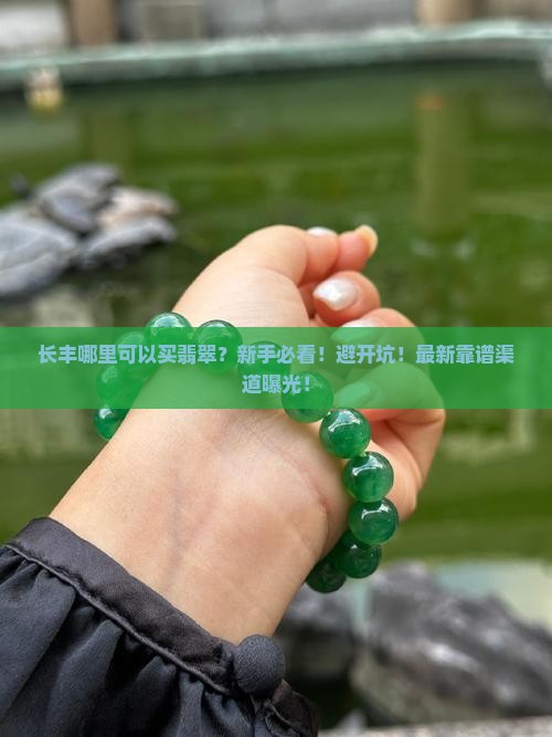 长丰哪里可以买翡翠