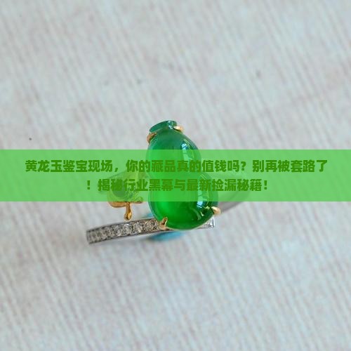 黄龙玉鉴宝现场