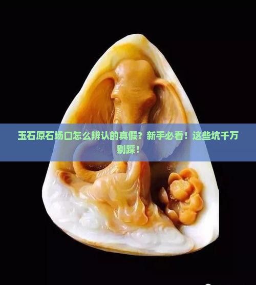 玉石原石场口怎么辨认的真假