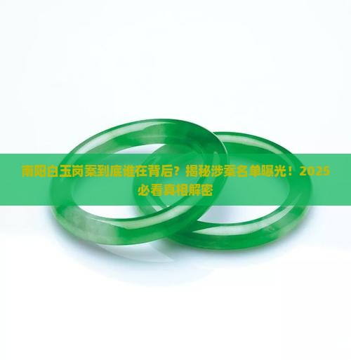 南阳白玉岗案涉案名单