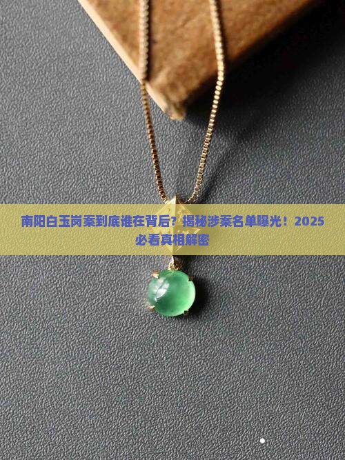南阳白玉岗案涉案名单