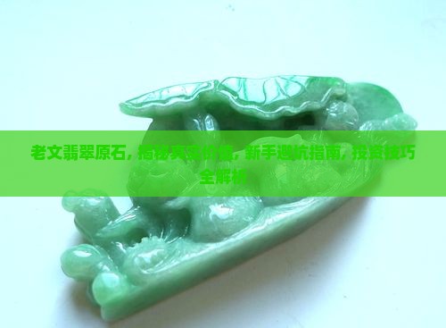 老文翡翠原石