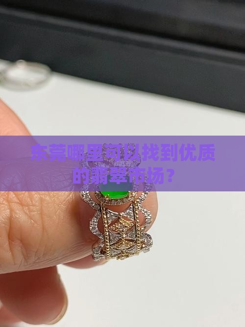 东莞翡翠交流
