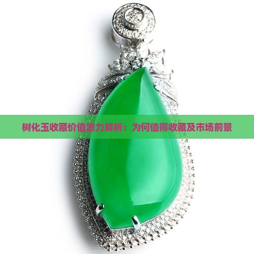树化玉收藏价值潜力