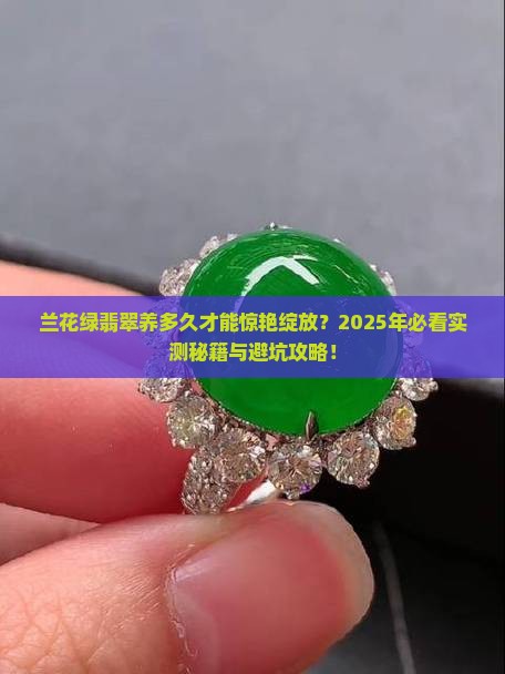 兰花绿翡翠养多长时间开花