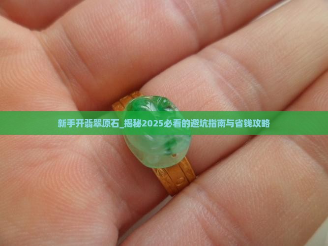 新手开翡翠原石的过程