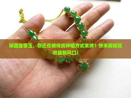 陕西金香玉