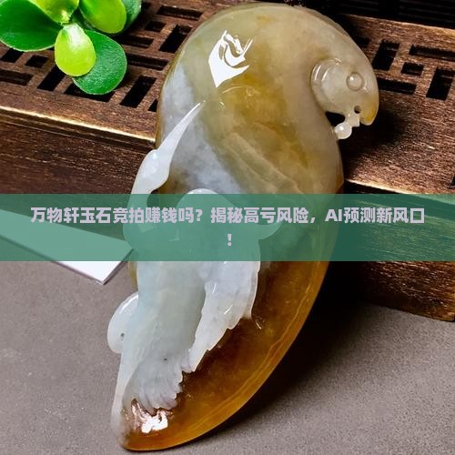 万物轩玉石竞拍赚钱吗