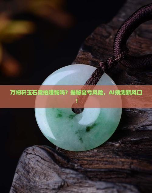 万物轩玉石竞拍赚钱吗