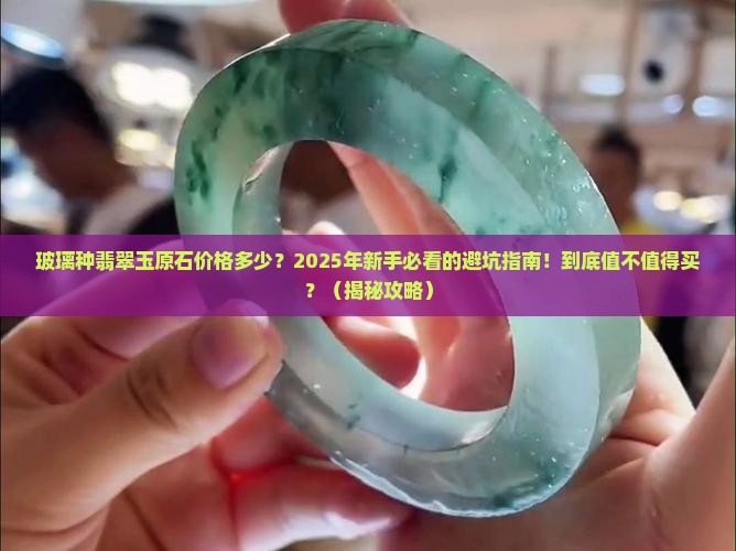玻璃种翡翠玉原石价格多少