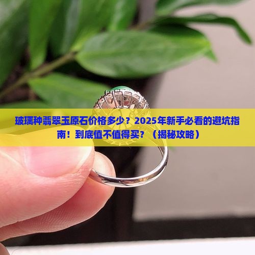 玻璃种翡翠玉原石价格多少