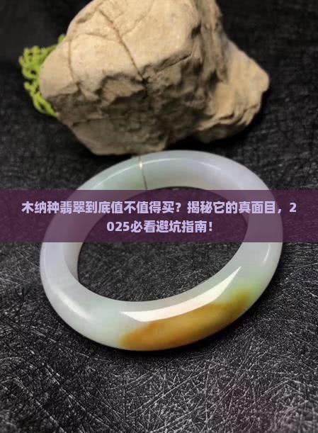 木纳种翡翠有什么特点