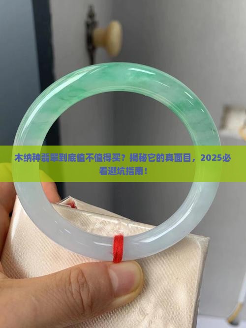 木纳种翡翠有什么特点