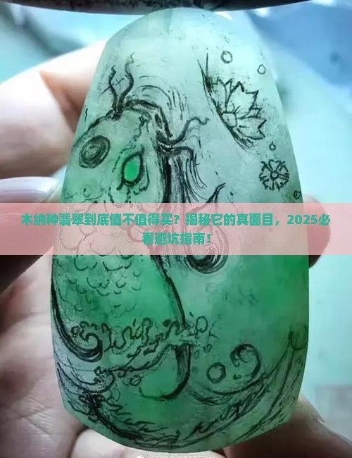木纳种翡翠有什么特点