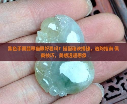 紫色手镯翡翠猫眼好看吗