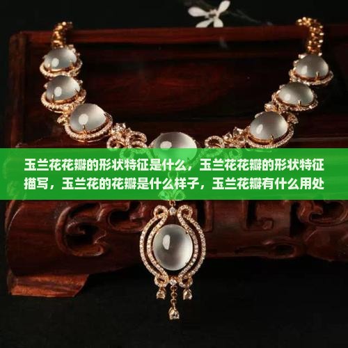 玉兰花花瓣的形状特征