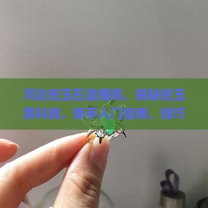 河边挖玉石直播间