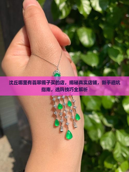 沈丘哪里有翡翠镯子买的店