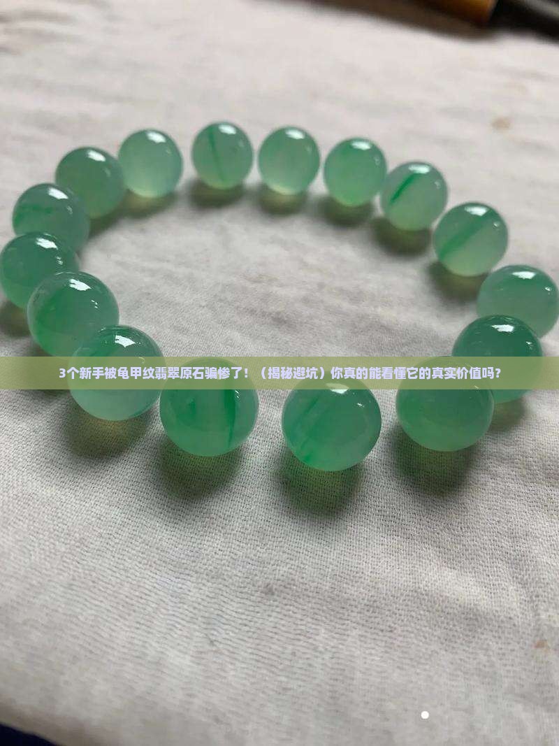 龟甲纹翡翠原石