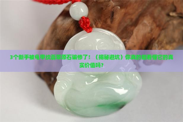 龟甲纹翡翠原石