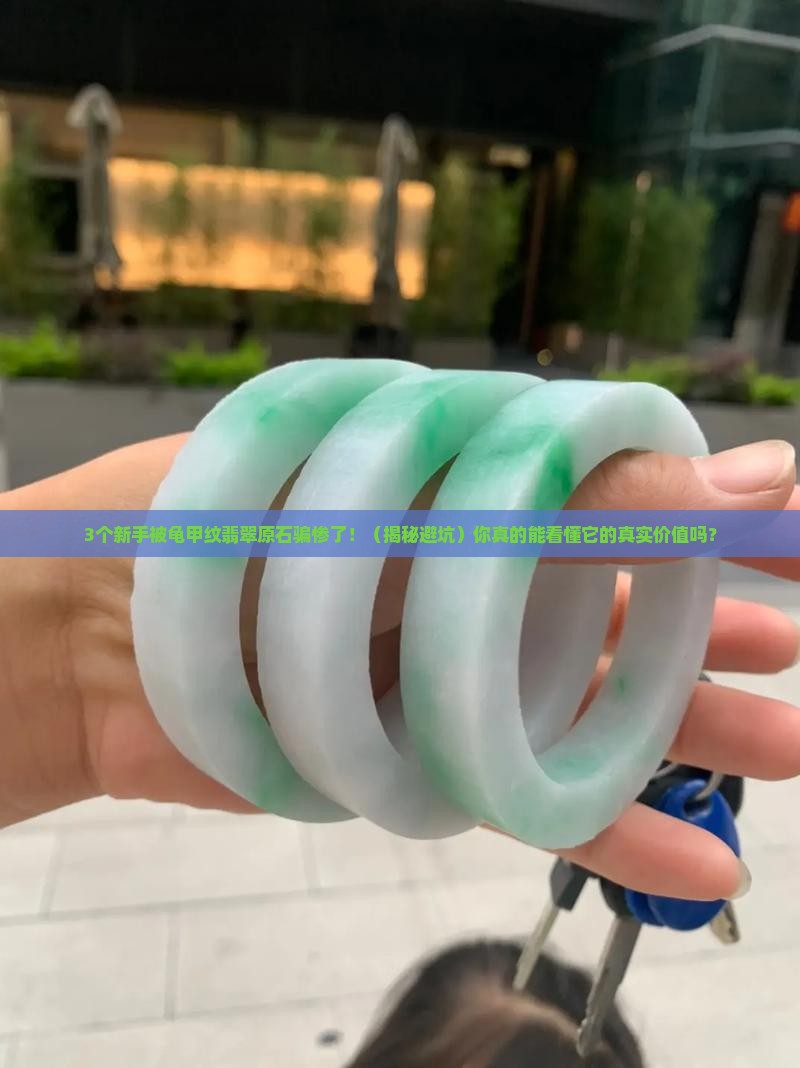 龟甲纹翡翠原石