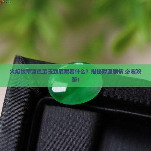 火焰纹章蓝色宝玉
