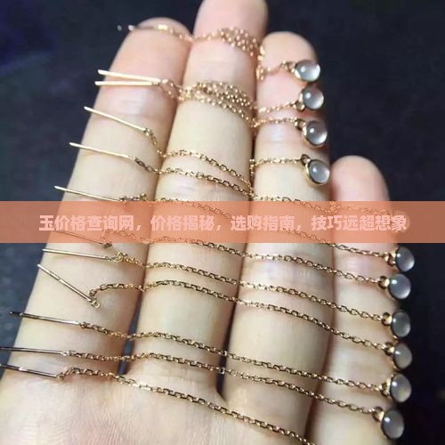 玉价格查询网