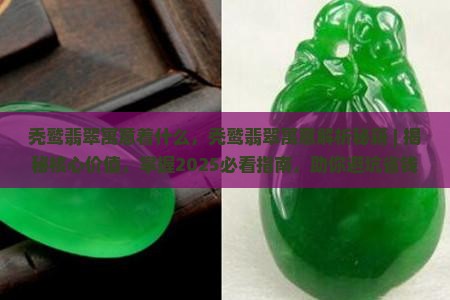 秃鹫翡翠寓意着什么
