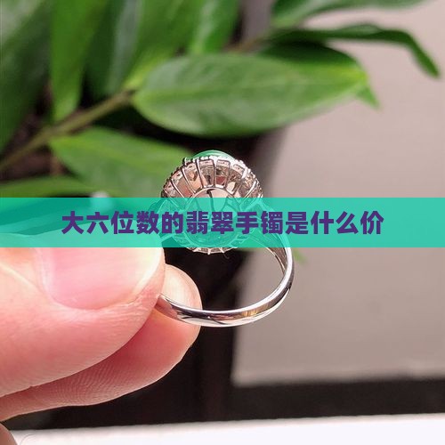 大六位数的翡翠手镯是什么价