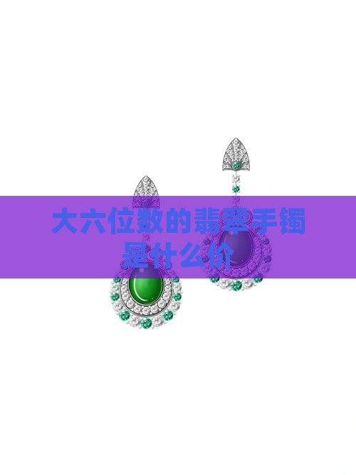 大六位数的翡翠手镯是什么价