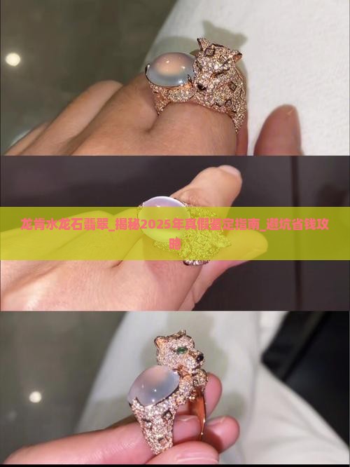 龙肯水龙石翡翠