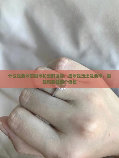 什么是翡翠的墨翠和玉