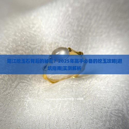 阳江挖玉石