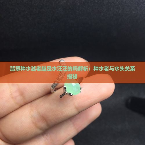 翡翠种水越老越是水汪汪的吗