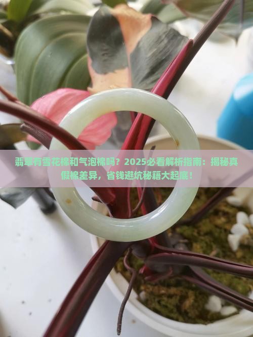 翡翠有雪花棉和气泡棉吗