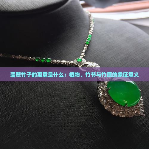 翡翠竹子的寓意什么意思