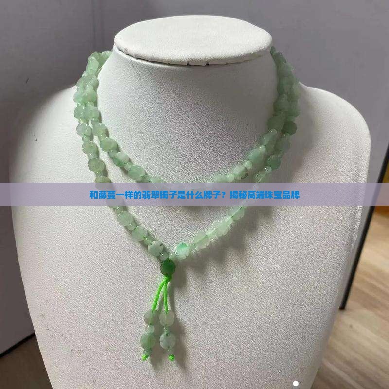 和藤蔓一样的翡翠镯子是什么牌子