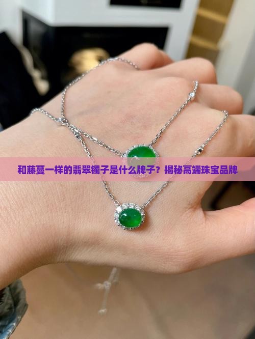 和藤蔓一样的翡翠镯子是什么牌子