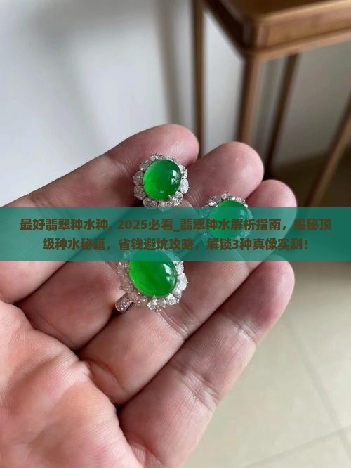 最好翡翠种水种