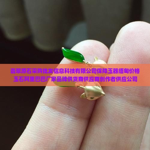 玉石翡翠供货商 玉石翡翠供货商
