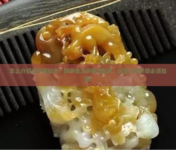 怎么介绍玉手镯知识