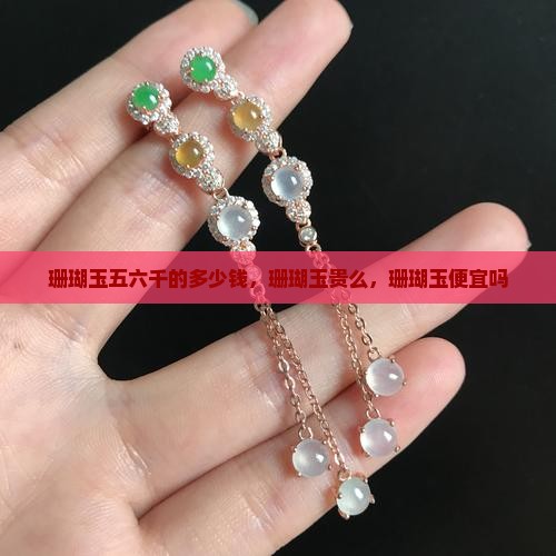 珊瑚玉五六千的