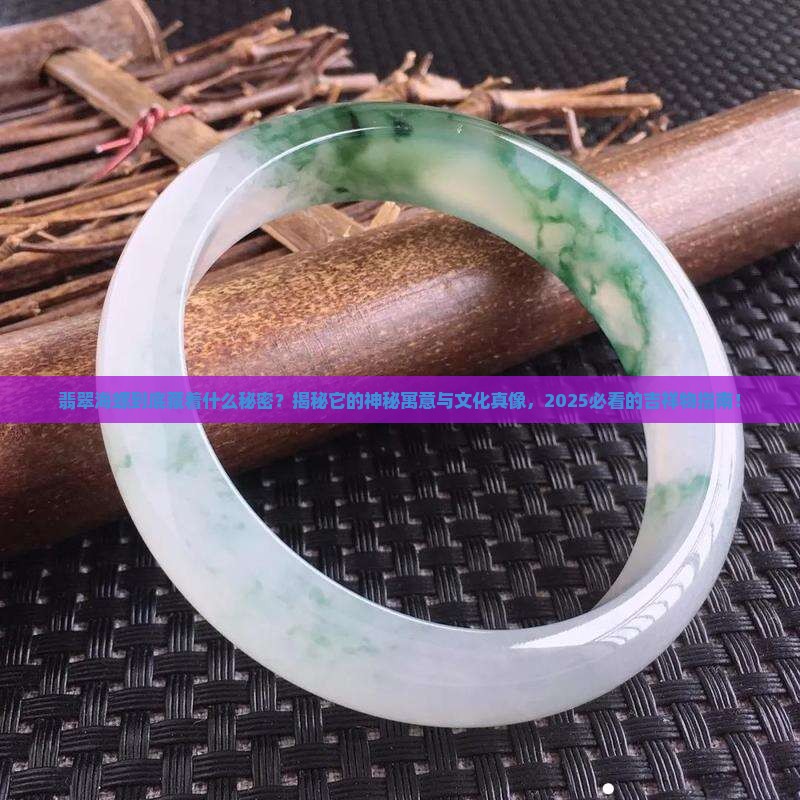 翡翠海螺寓意与象征